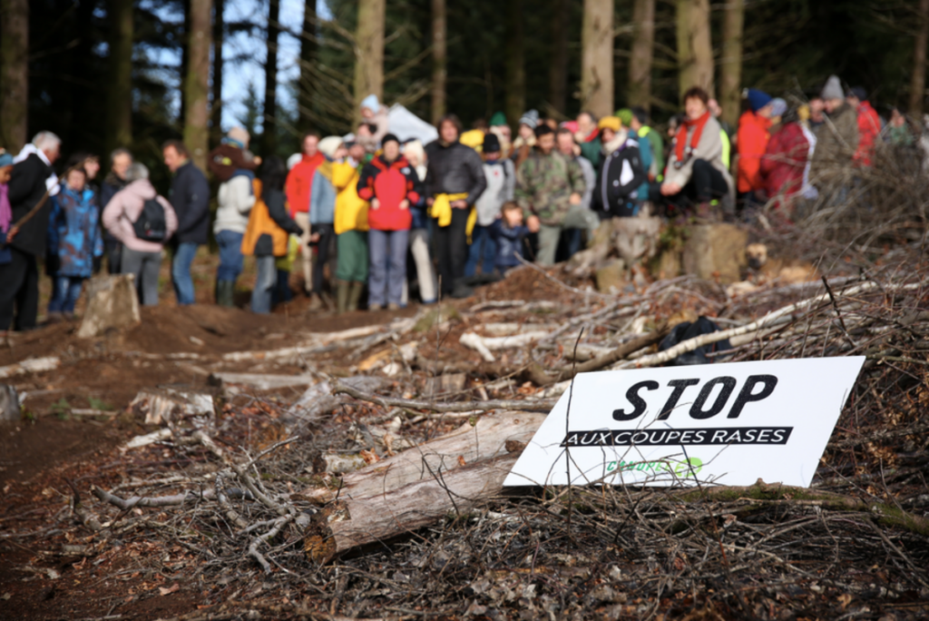 Manifestation dans un bois et pancarte "Stop aux coupes rases"